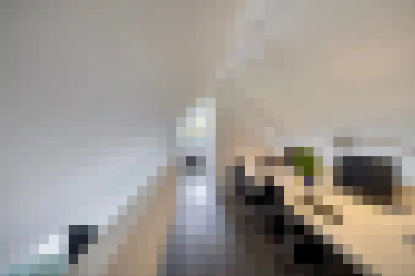 Genoenhuis 12 Geldrop thumbnail 36
