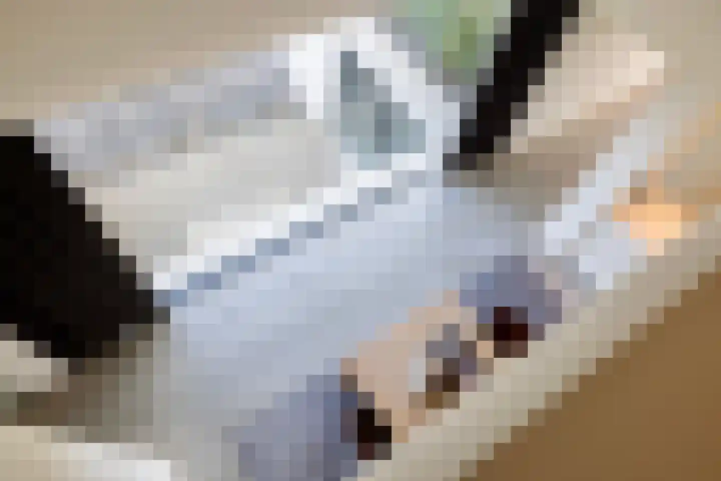 Genoenhuis 12 Geldrop thumbnail 37
