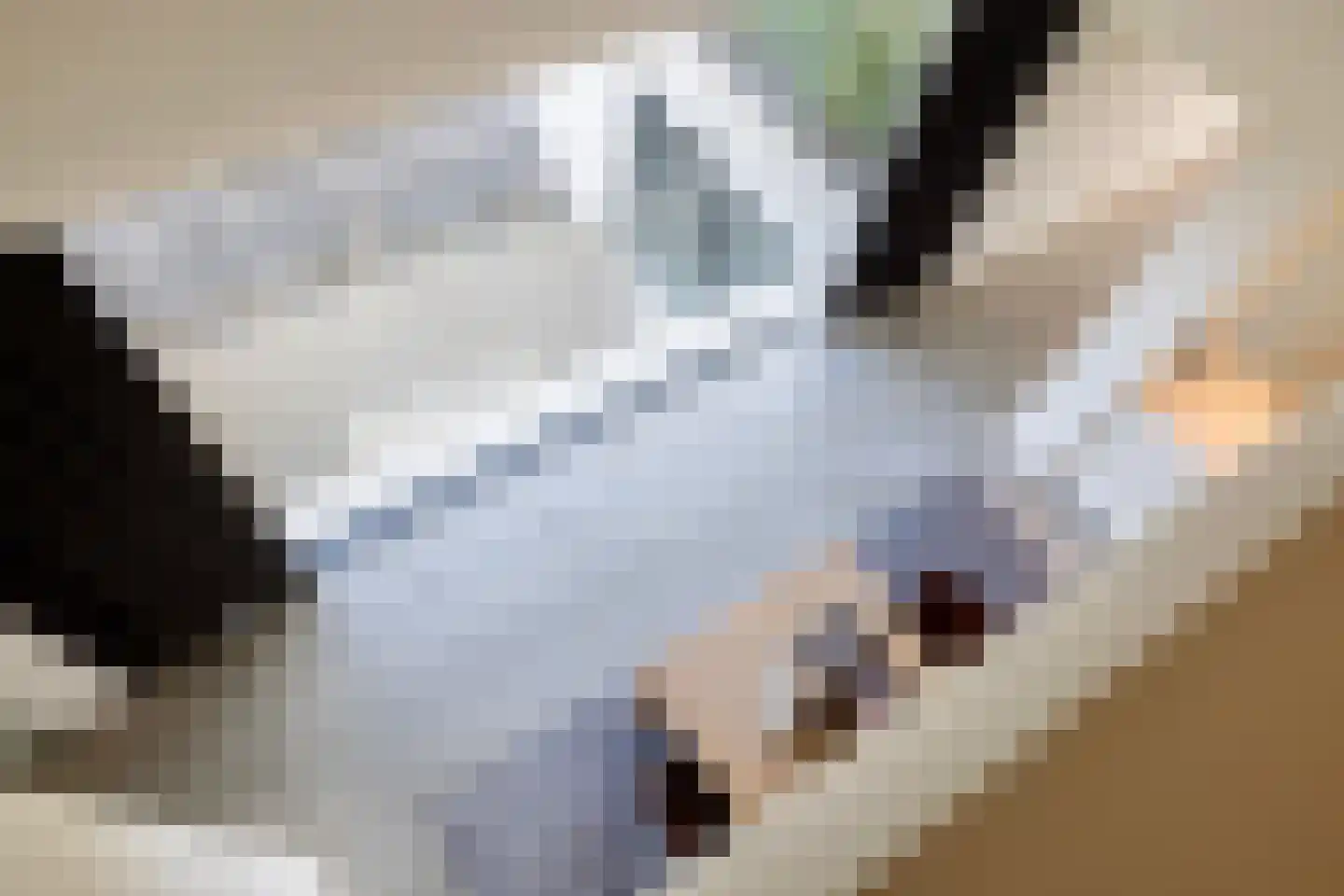 Genoenhuis 12 Geldrop thumbnail 37