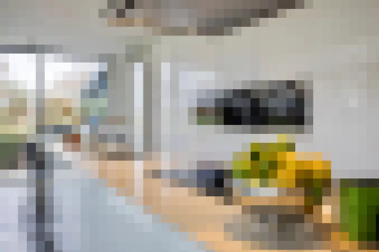 Genoenhuis 12 Geldrop thumbnail 4