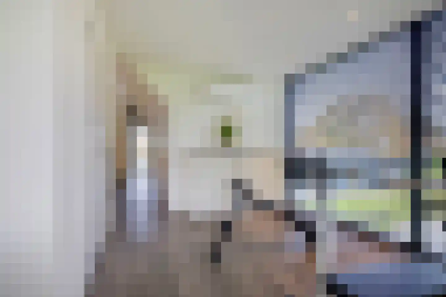 Genoenhuis 12 Geldrop thumbnail 40
