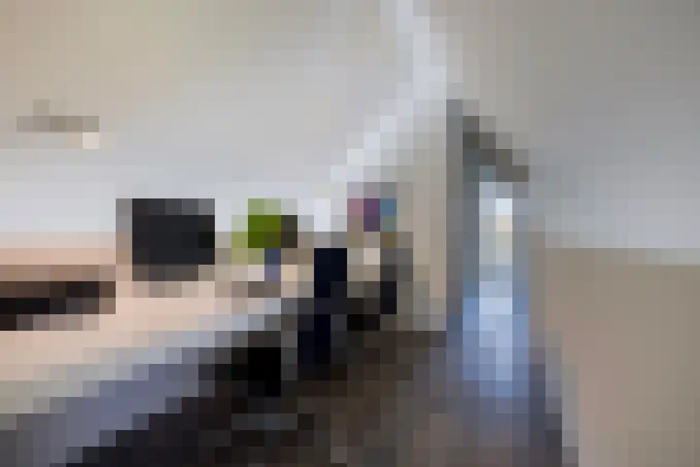 Genoenhuis 12 Geldrop thumbnail 41
