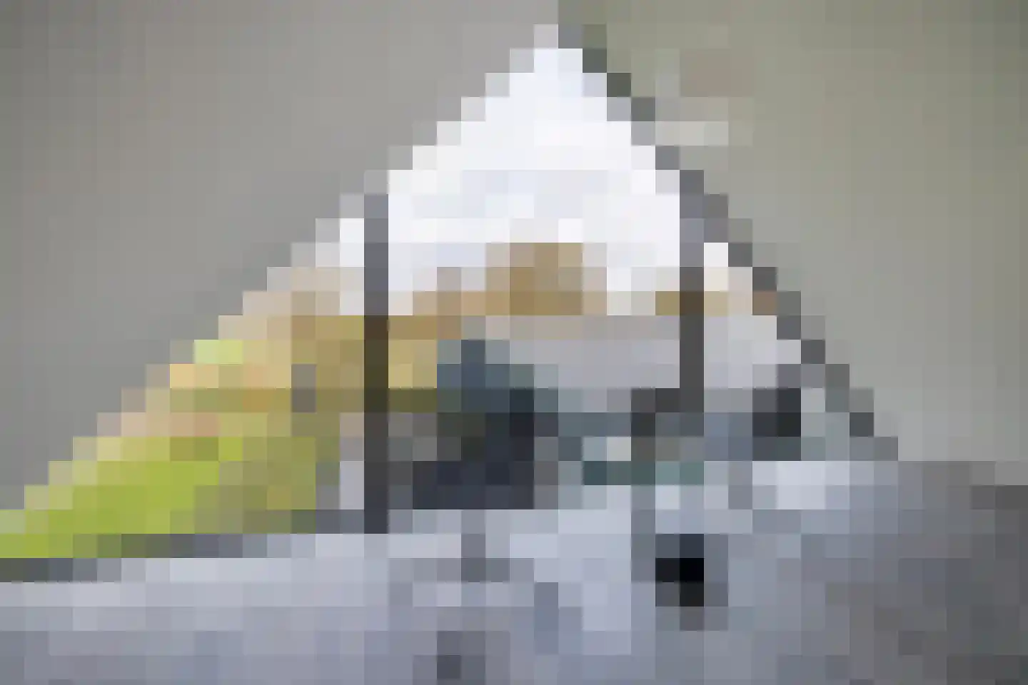 Genoenhuis 12 Geldrop thumbnail 42