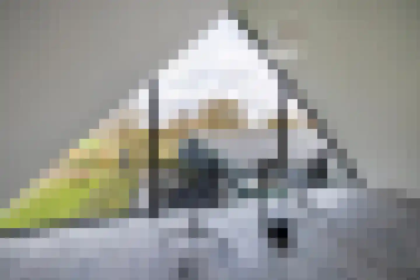Genoenhuis 12 Geldrop thumbnail 42