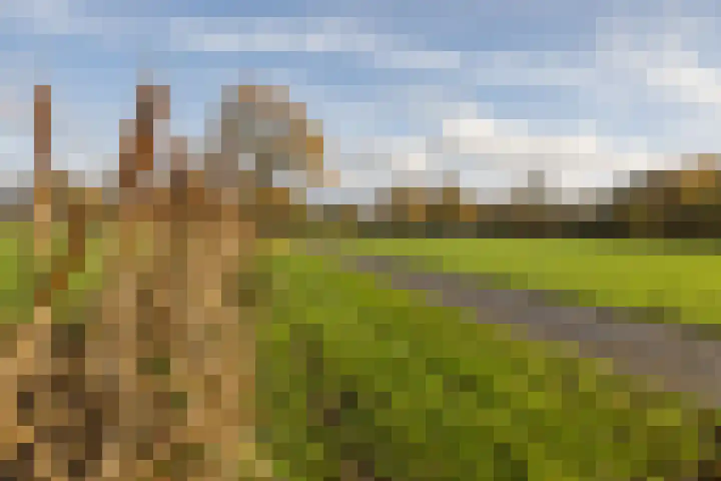 Genoenhuis 12 Geldrop thumbnail 52
