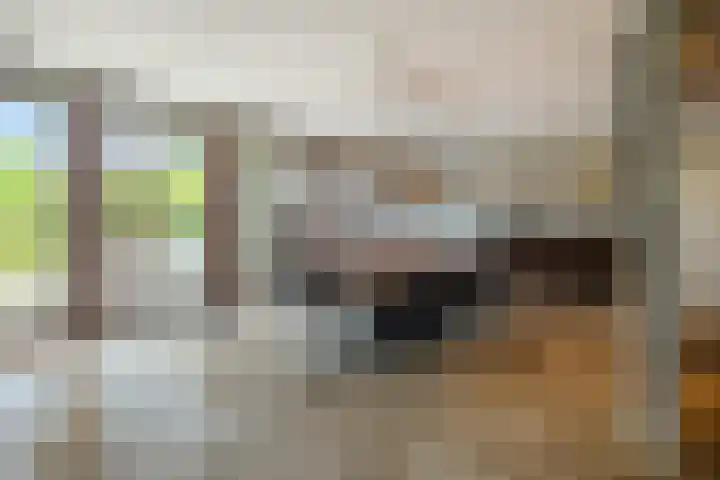 Genoenhuis 45 Geldrop thumbnail 12