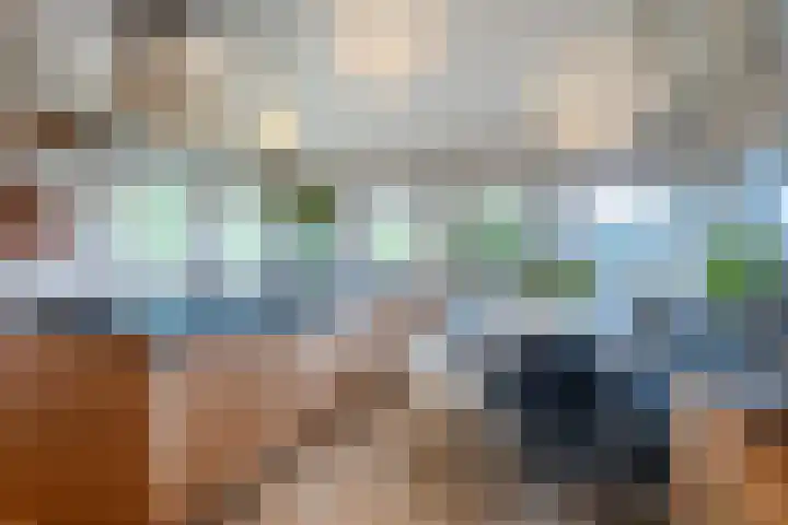 Genoenhuis 45 Geldrop thumbnail 14