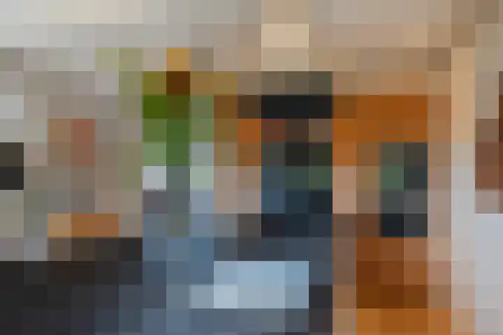 Genoenhuis 45 Geldrop thumbnail 16