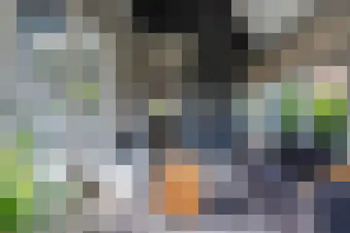 Genoenhuis 45 Geldrop thumbnail 21