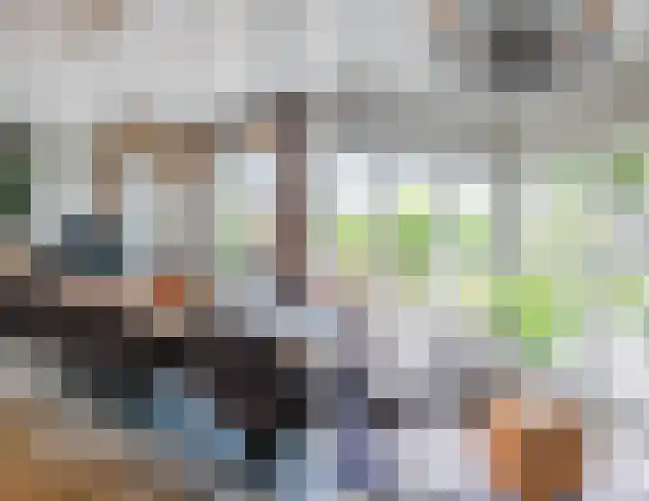 Genoenhuis 45 Geldrop thumbnail 22