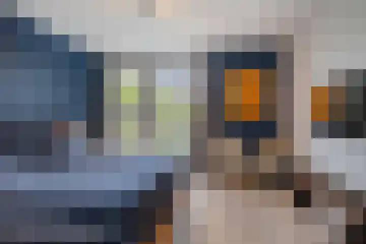 Genoenhuis 45 Geldrop thumbnail 24