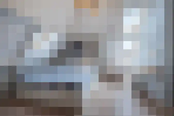 Genoenhuis 45 Geldrop thumbnail 29