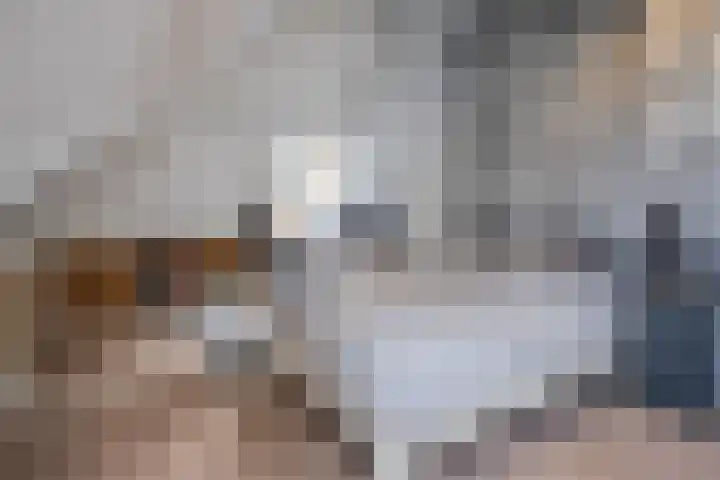 Genoenhuis 45 Geldrop thumbnail 32