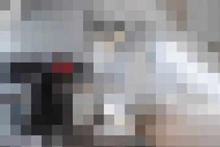 Genoenhuis 45 Geldrop thumbnail 34