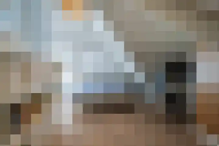Genoenhuis 45 Geldrop thumbnail 35