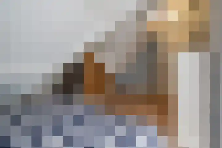 Genoenhuis 45 Geldrop thumbnail 36