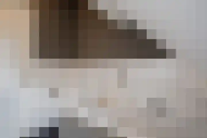 Genoenhuis 45 Geldrop thumbnail 39