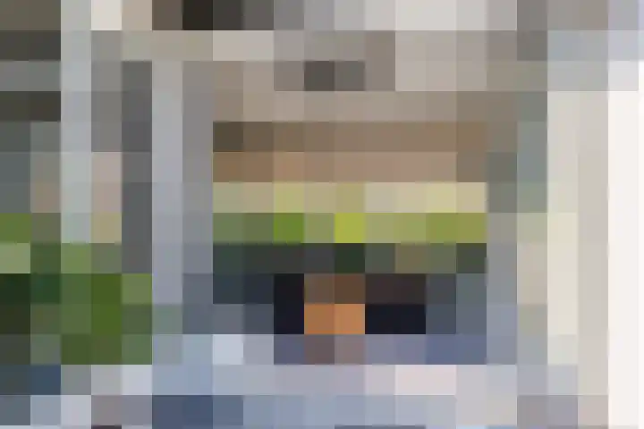 Genoenhuis 45 Geldrop thumbnail 40