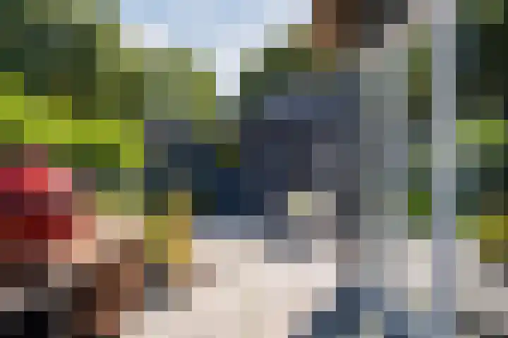 Genoenhuis 45 Geldrop thumbnail 41