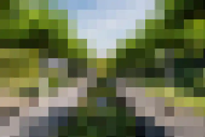 Genoenhuis 45 Geldrop thumbnail 45