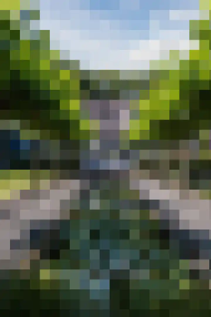 Genoenhuis 45 Geldrop thumbnail 46