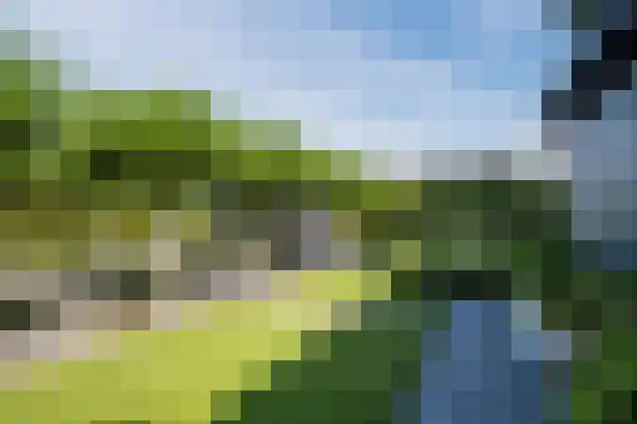 Genoenhuis 45 Geldrop thumbnail 47