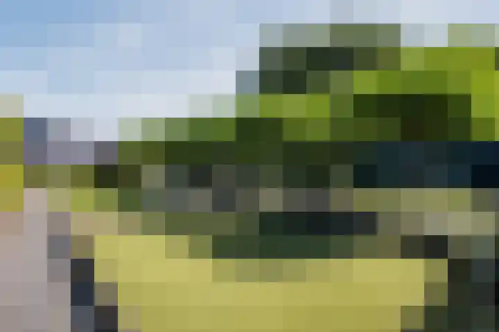 Genoenhuis 45 Geldrop thumbnail 48