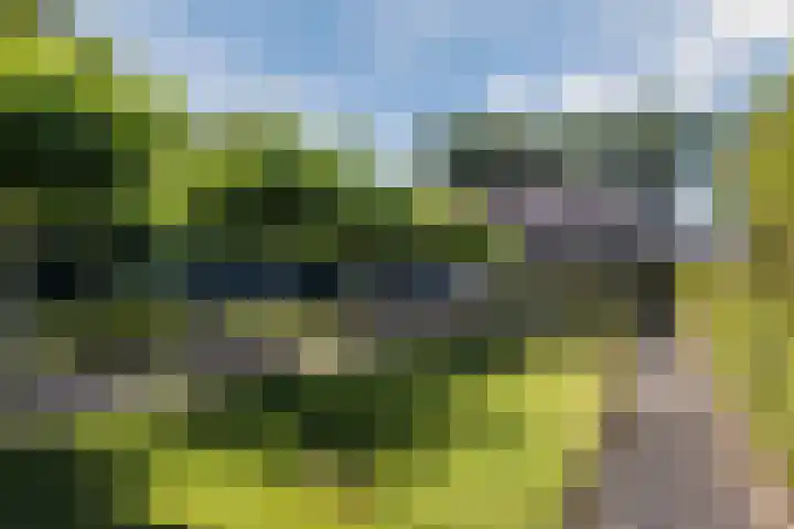 Genoenhuis 45 Geldrop thumbnail 49