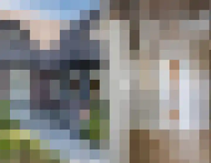 Genoenhuis 45 Geldrop thumbnail 5