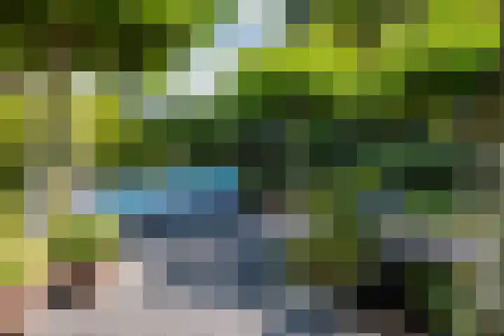 Genoenhuis 45 Geldrop thumbnail 50