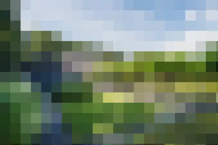 Genoenhuis 45 Geldrop thumbnail 51