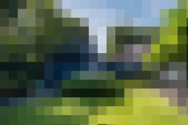 Genoenhuis 45 Geldrop thumbnail 58
