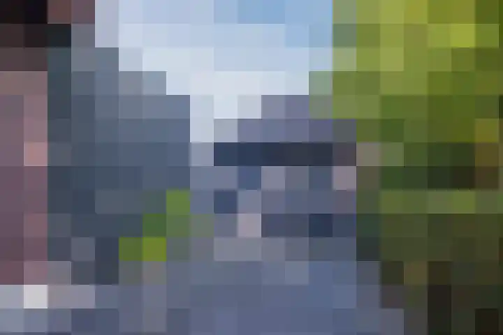 Genoenhuis 45 Geldrop thumbnail 59