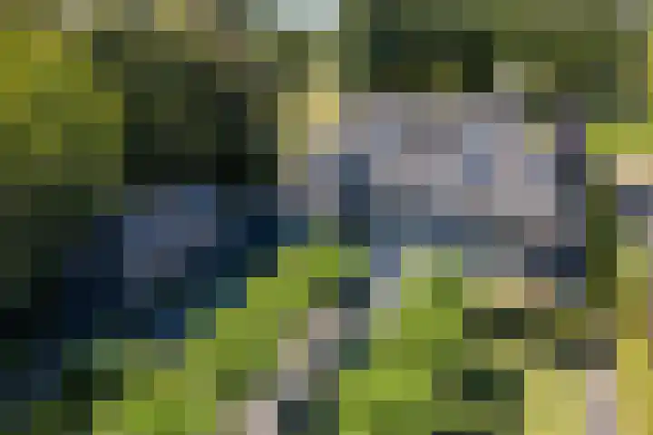 Genoenhuis 45 Geldrop thumbnail 64