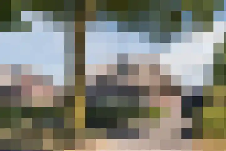 Genoenhuis 45 Geldrop thumbnail 65
