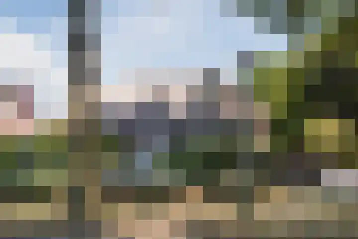 Genoenhuis 45 Geldrop thumbnail 66