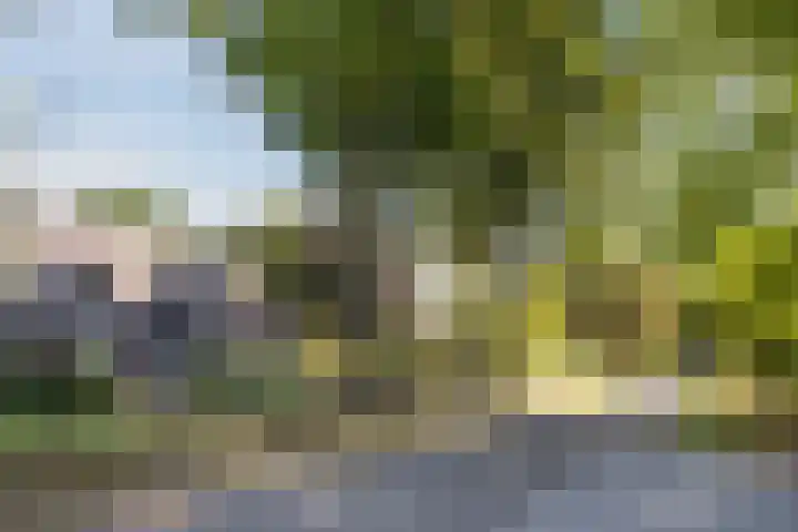 Genoenhuis 45 Geldrop thumbnail 69
