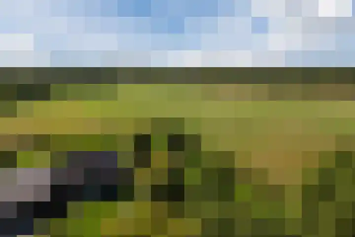 Genoenhuis 45 Geldrop thumbnail 70