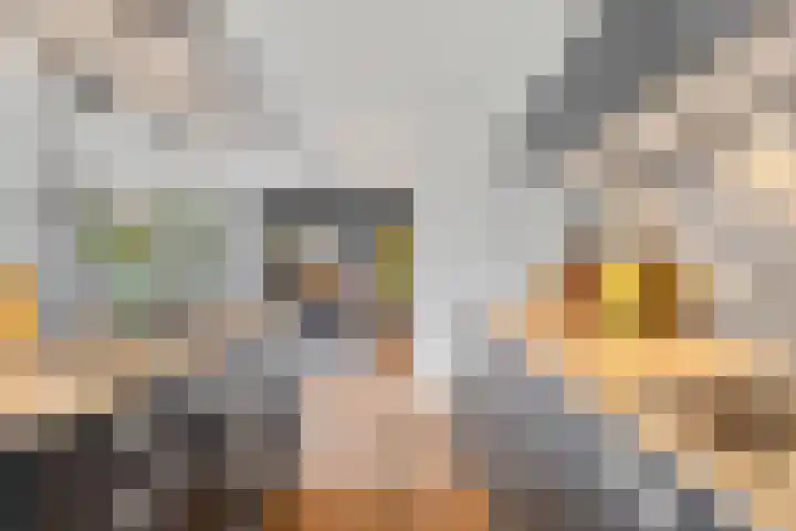 Genooyerbergen 4 Venlo thumbnail 10
