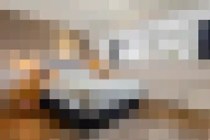 Genooyerbergen 4 Venlo thumbnail 23