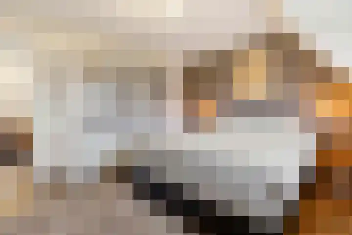 Genooyerbergen 4 Venlo thumbnail 25