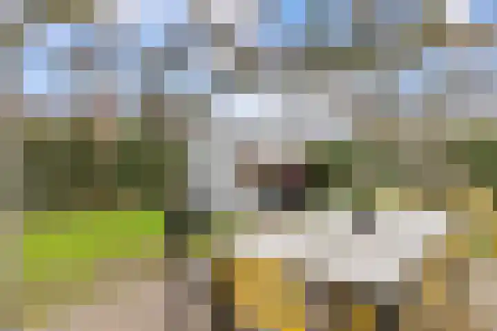 Genooyerbergen 4 Venlo thumbnail 38