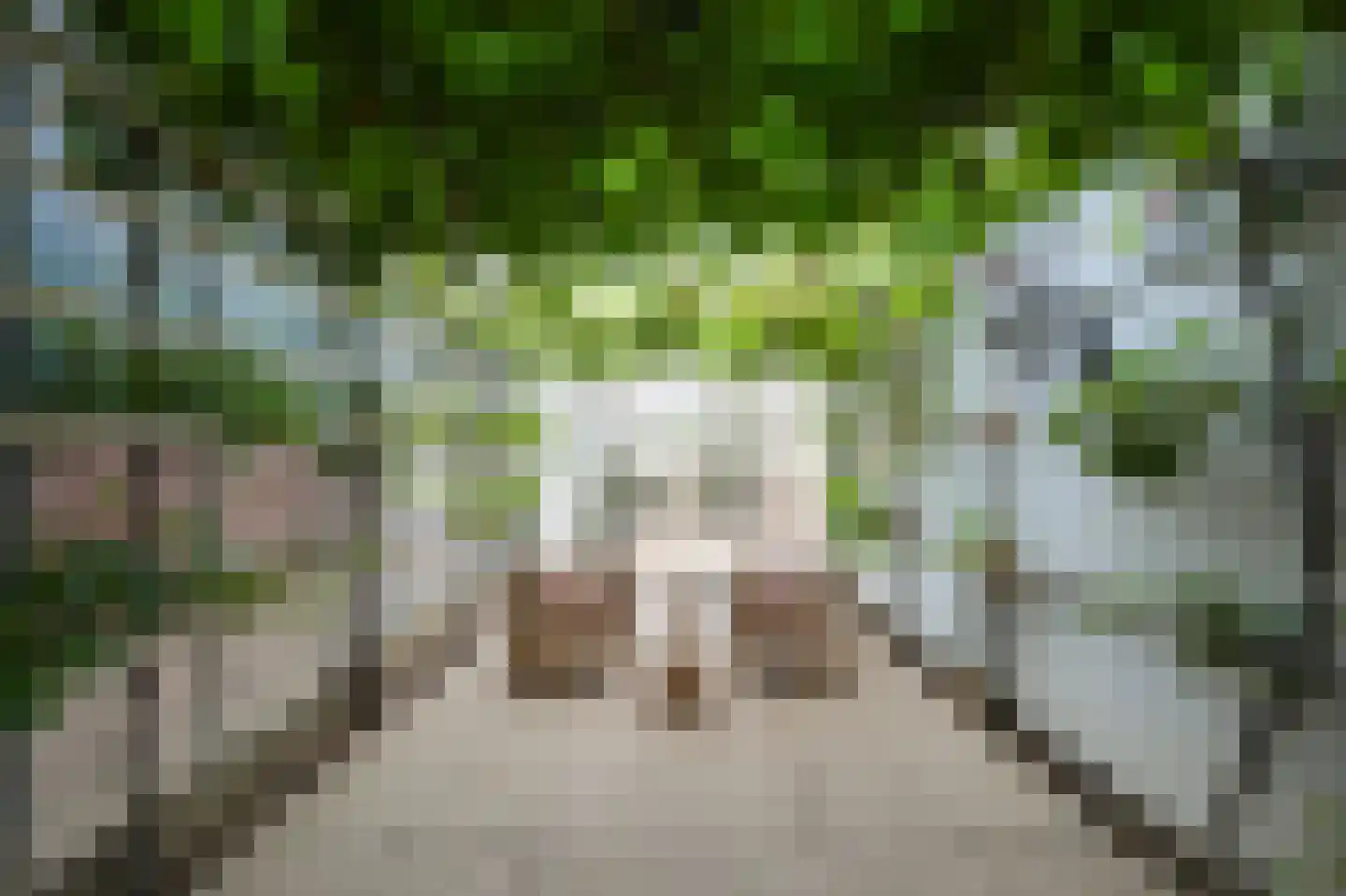 Genooyerweg 27 Venlo thumbnail 33