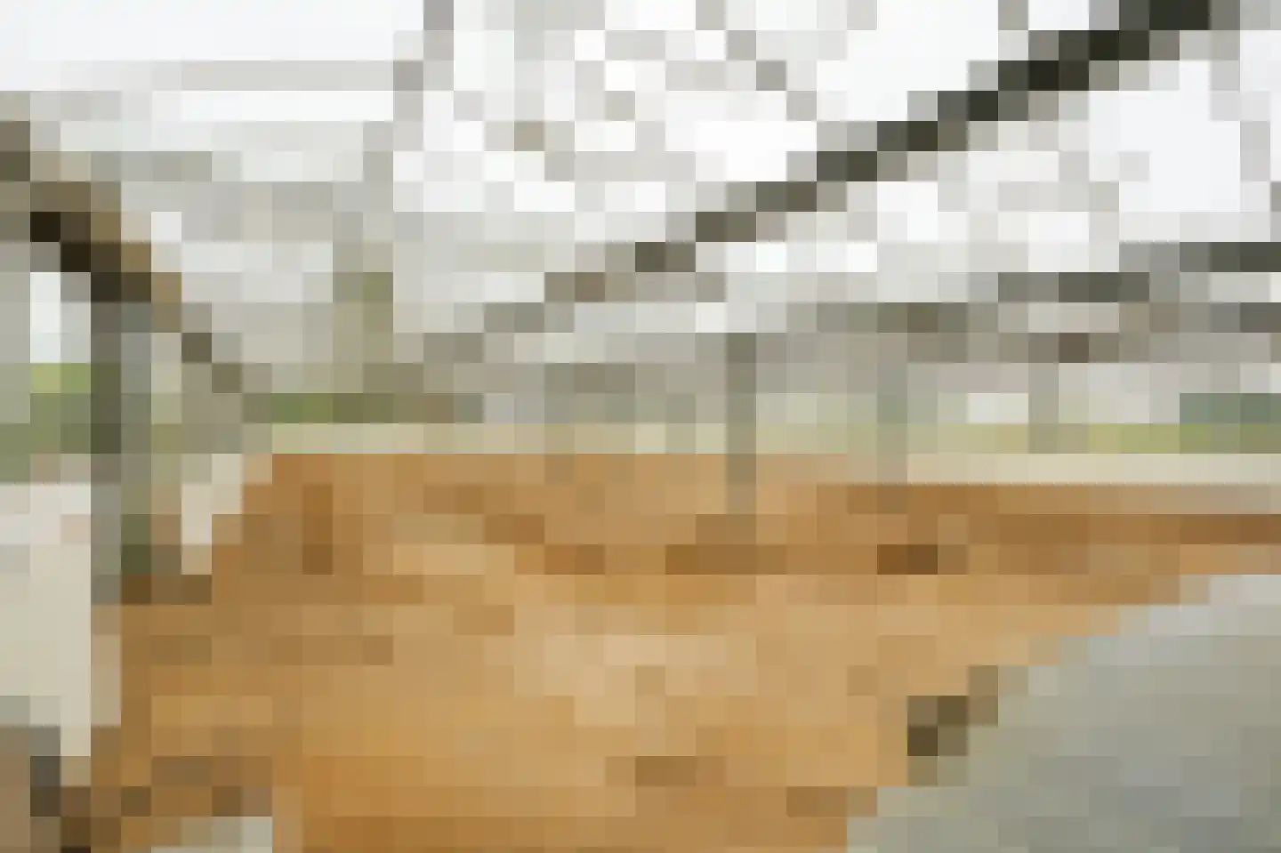 Genooyerweg 27 Venlo thumbnail 43