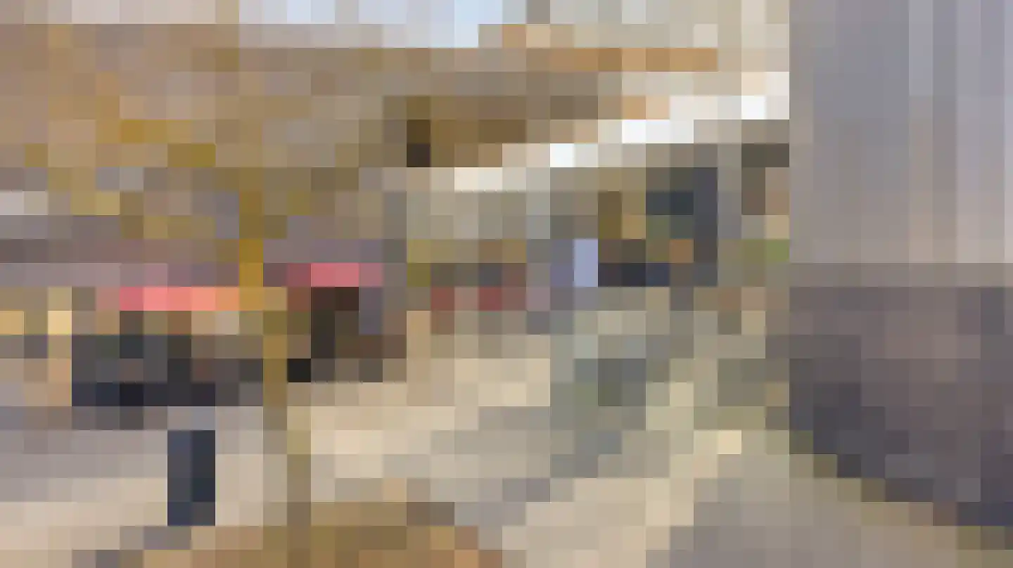 Genovevalaan 104 Eindhoven thumbnail 32
