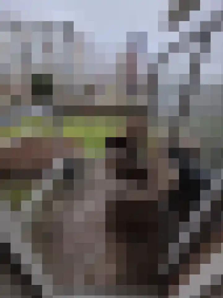 Genovevalaan 14 Eindhoven thumbnail 5