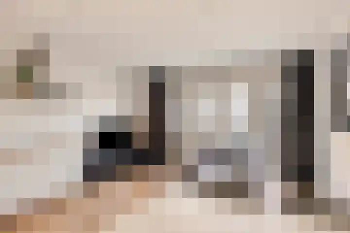 Genovevalaan 146 Eindhoven thumbnail 12