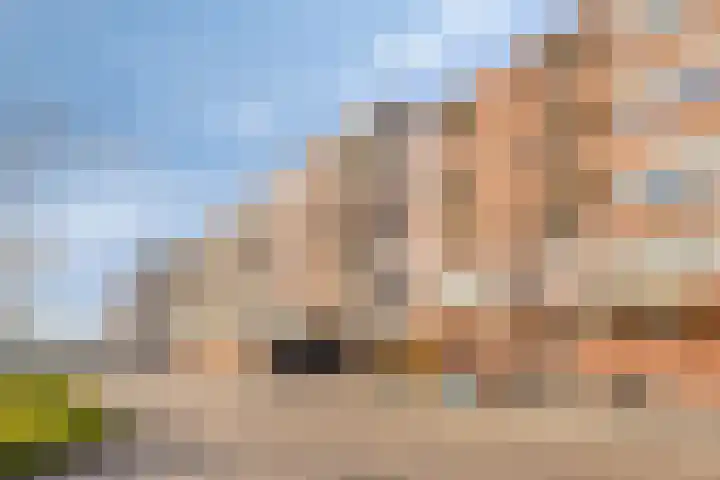 Genovevalaan 146 Eindhoven thumbnail 18
