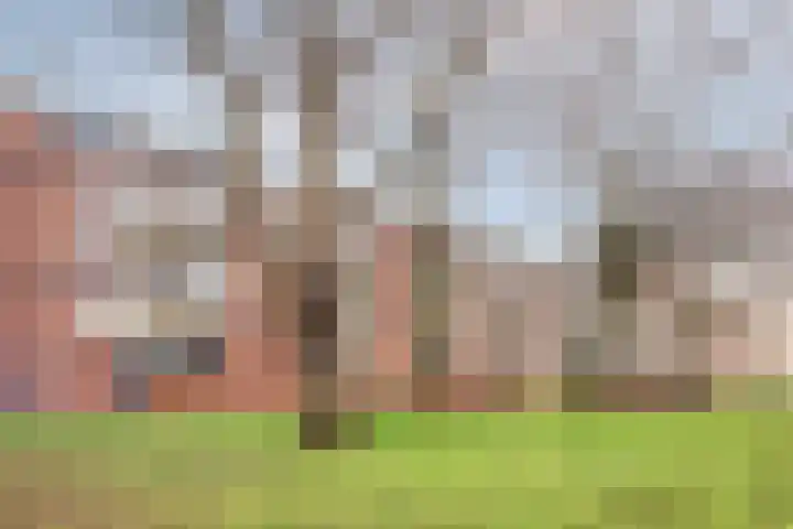 Genovevalaan 146 Eindhoven thumbnail 19