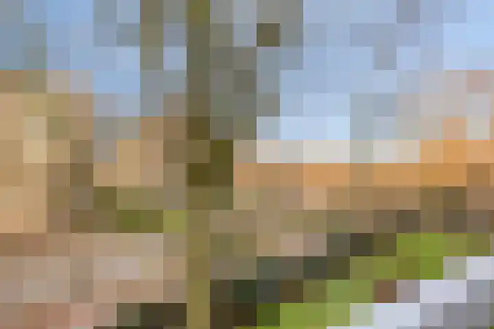 Genovevalaan 146 Eindhoven thumbnail 5